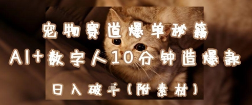 宠物赛道爆单秘籍：AI+数字人10分钟造爆款，日入1k——生财有道创业项目网-生财有道