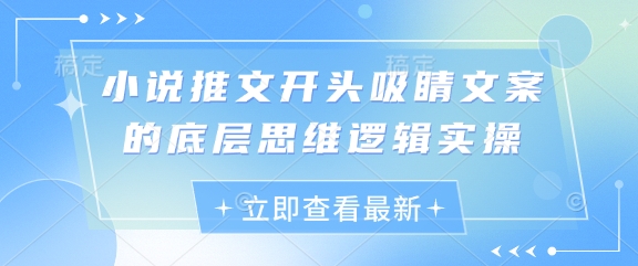 小说推文开头吸睛文案的底层思维逻辑实操——生财有道创业项目网-生财有道