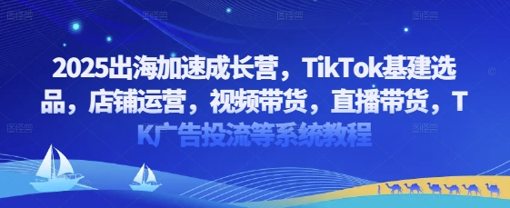 2025出海加速成长营，TikTok基建选品，店铺运营，视频带货，直播带货，TK广告投流等系统教程——生财有道创业项目网-生财有道
