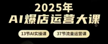 2025年AI爆店运营大课，13节AI实操课+37节流量运营课——生财有道创业项目网-生财有道