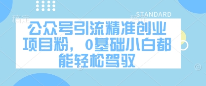 公众号引流精准创业项目粉，0基础小白都能轻松驾驭——生财有道创业项目网-生财有道