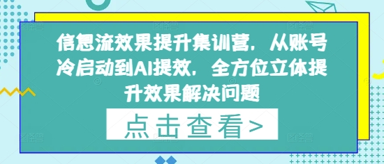 信息流效果提升集训营，从账号冷启动到AI提效，全方位立体提升效果解决问题——生财有道创业项目网-生财有道