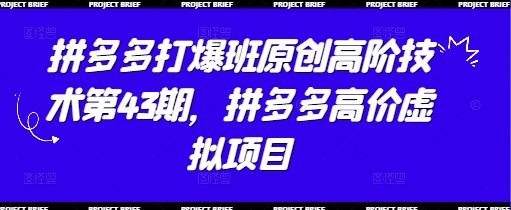 拼多多打爆班原创高阶技术第43期，拼多多高价虚拟项目——生财有道创业项目网-生财有道