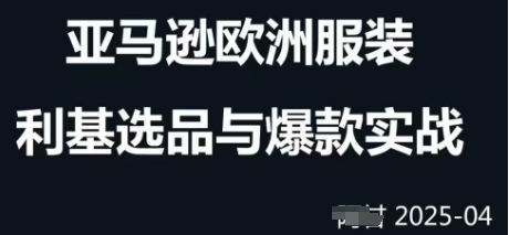跨境电商选品案例24-25年，聚焦跨境电商选品策略与运营优化，助力卖家挖掘蓝海市场——生财有道创业项目网-生财有道