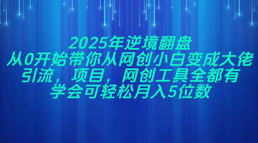 （14473期）2025年逆境翻盘，从0开始带你从网创小白变成大佬，引流，项目，网创工…_生财有道创业项目网-生财有道