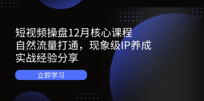 （14447期）短视频操盘12月核心课程：自然流量打通，现象级IP养成，实战经验分享_生财有道创业项目网-生财有道