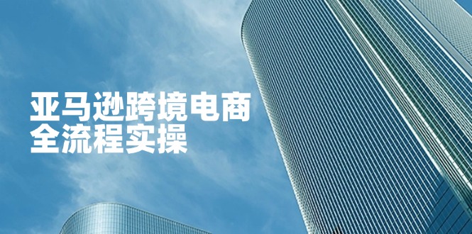 （14252期）亚马逊跨境电商全流程实操，教你从零开始，掌握店铺运营与广告技巧_生财有道创业项目网-生财有道