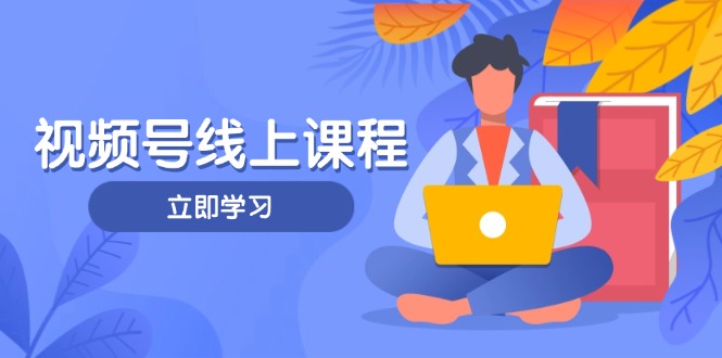 （14360期）视频号实战课程，轻IP打造与运营技巧，掌握核心方法与策略_生财有道创业项目网-生财有道