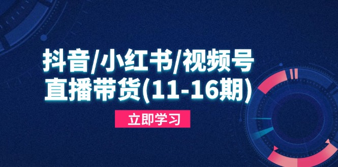 （14611期）抖音/小红书/视频号/直播带货(11-16期)，快速掌握平台规则，打造爆款内容_生财有道创业项目网-生财有道