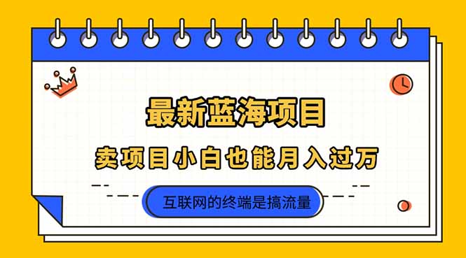 （14289期）2025年最新蓝海项目，卖项目小白也能月入过万_生财有道创业项目网-生财有道