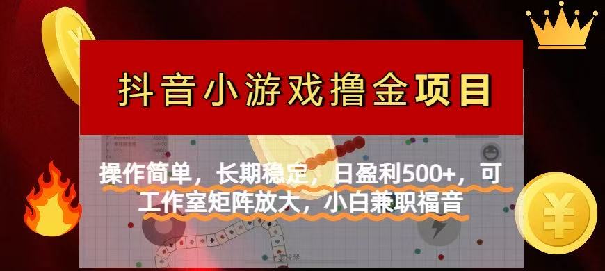 （14290期）【抖音小游戏发行人计划项目】操作简单，长期稳定，日盈利500+，可工作…_生财有道创业项目网-生财有道
