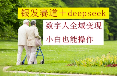 银发赛道+deepseek数字人全域变现，小白也能操作——生财有道创业项目网-生财有道