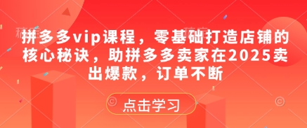 拼多多vip课程，零基础打造店铺的核心秘诀，助拼多多卖家在2025卖出爆款，订单不断——生财有道创业项目网-生财有道