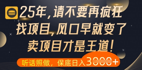 什么？25年你还在疯狂找项目做，醒醒吧，看完这些你全都懂了【揭秘】——生财有道创业项目网-生财有道