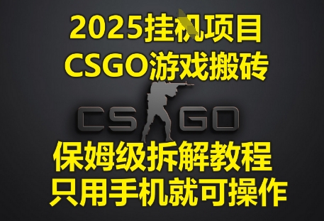 2025挂G项目，CSGO游戏搬砖，保姆级拆解教程，只用手机就可操作【揭秘】——生财有道创业项目网-生财有道