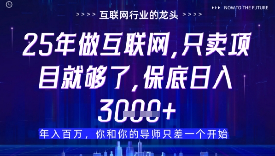 什么！25年你还在找项目做？风口早就变了，卖项目才是稳挣不赔【揭秘】——生财有道创业项目网-生财有道