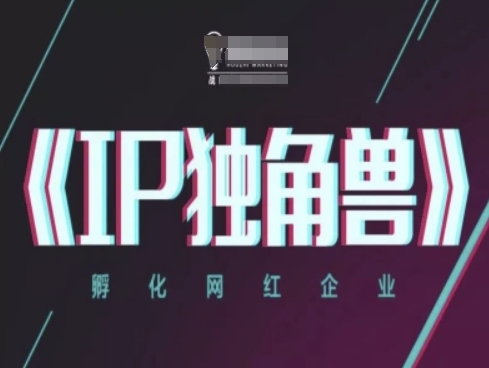 IP独角兽，孵化网红企业，ip教程——生财有道创业项目网-生财有道