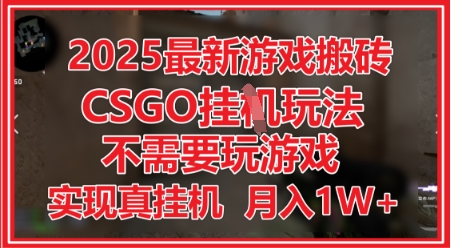 2025最新游戏搬砖，CSGO挂G，不需要玩游戏，实现真挂G，月入1W+【揭秘】——生财有道创业项目网-生财有道