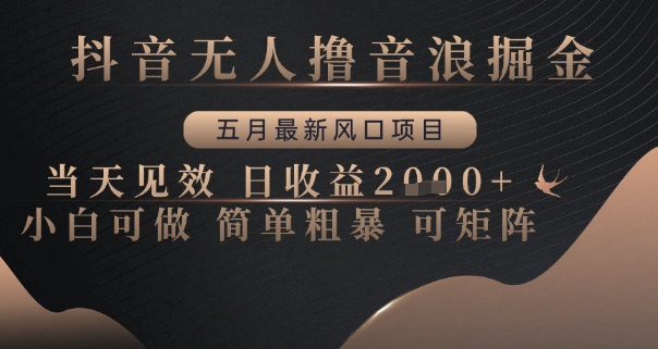 抖音无人撸音浪掘金，五月最新风口项目，当天见效，日收益多张，小白可做简单粗暴可矩阵【揭秘】——生财有道创业项目网-生财有道