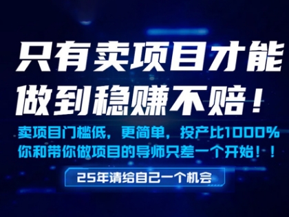 只有卖项目才能做到稳挣不赔，门槛低，更简单，你也可以年入百个W【揭秘】——生财有道创业项目网-生财有道