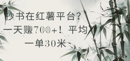 抄书在小红薯平台？平均一单30米，一天收益几张！——生财有道创业项目网-生财有道