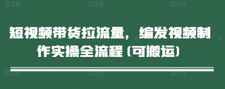 短视频带货拉流量，编发视频制作实操全流程(可搬运)——生财有道创业项目网-生财有道