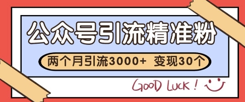 公众号精准粉引流玩法，2个月3000+精准粉，变现30个W【揭秘】——生财有道创业项目网-生财有道