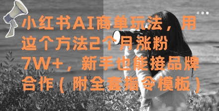 小红书AI商单玩法，用这个方法2个月涨粉7W+，新手也能接品牌合作(附全套指令模板)——生财有道创业项目网-生财有道