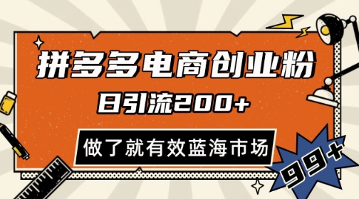 拼多多引流电商创业粉，日引200+，可矩阵放大，做了就有效【揭秘】——生财有道创业项目网-生财有道