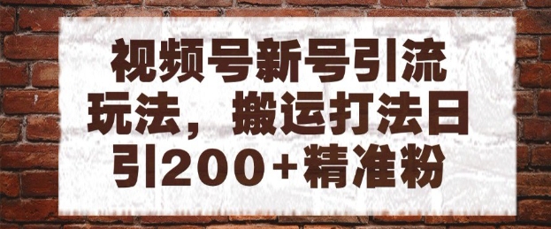 视频号新号引流玩法，搬运打法日引200+精准粉，可矩阵放大【揭秘】——生财有道创业项目网-生财有道