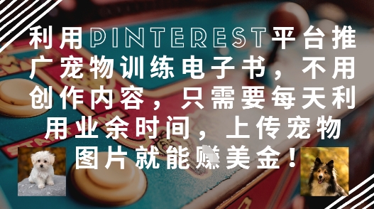 利用Pinterest平台推广宠物训练电子书，不用创作内容，只需要每天利用业余时间，上传宠物图片就能挣美金!——生财有道创业项目网-生财有道