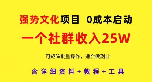 强势文化项目，一个社群收入25个W，0成本启动，可矩阵批量操作，原创详细实操教程——生财有道创业项目网-生财有道