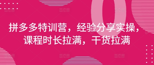 拼多多特训营，经验分享实操，课程时长拉满，干货拉满(更新25年4月)——生财有道创业项目网-生财有道