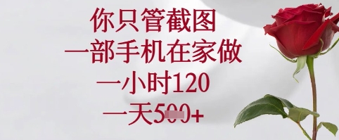 你只管截图，一部手机在家可以做，一小时120.一天5张+【揭秘】——生财有道创业项目网-生财有道
