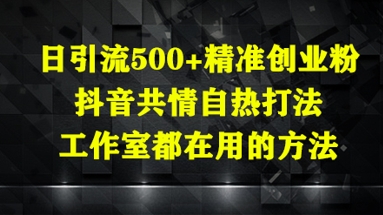 日引流500+精准创业粉，抖音共情自热打法，工作室都在用的方法——生财有道创业项目网-生财有道