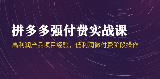 （14874期）拼多多强付费实战课-44期，高利润产品项目经验，低利润微付费阶段操作_生财有道创业项目网-生财有道