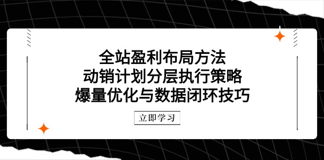 （14698期）全站盈利布局方法：动销计划分层执行策略，爆量优化与数据闭环技巧_生财有道创业项目网-生财有道