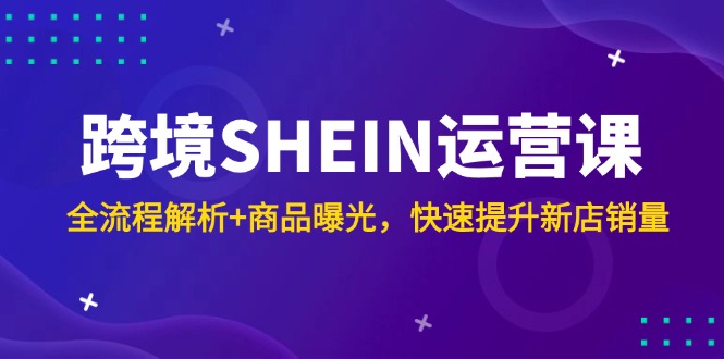 （14832期）跨境SHEIN运营课，全流程解析+商品曝光，快速提升新店销量_生财有道创业项目网-生财有道