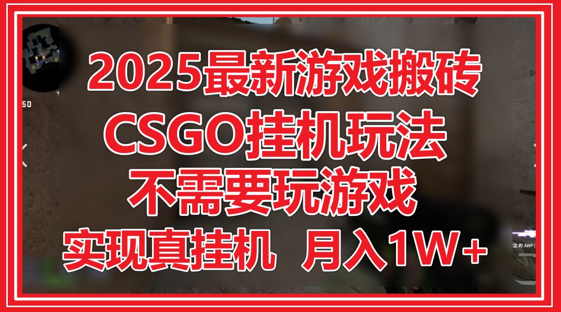 （14743期）2025最新游戏搬砖，CSGO挂机，不需要玩游戏，实现真挂机，月入1W+_生财有道创业项目网-生财有道