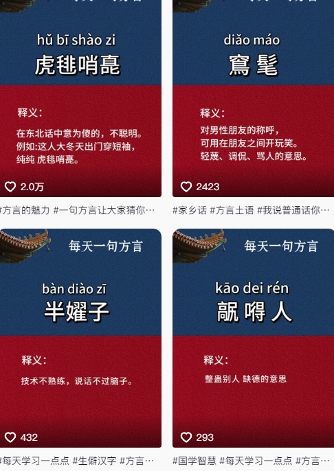 抖音最新涨粉玩法，图文方言暴力涨粉实操，126作品涨粉11W——生财有道创业项目网-生财有道