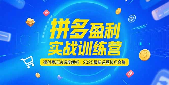（15183期）拼多多盈利实战训练营，强付费玩法深度解析，2025运营技巧合集-更新6月_生财有道创业项目网-生财有道