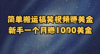 简单搬运搞笑视频挣美金，新手一个月入1k美金——生财有道创业项目网-生财有道
