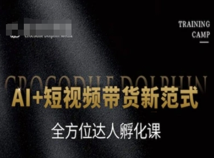 AI+短视频带货新范式，全方位达人孵化课——生财有道创业项目网-生财有道