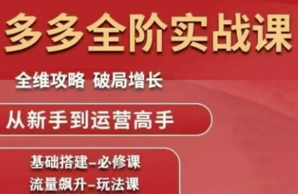 拼多多全阶实战课程，全维攻略，破局增长，从新手到运营高手——生财有道创业项目网-生财有道