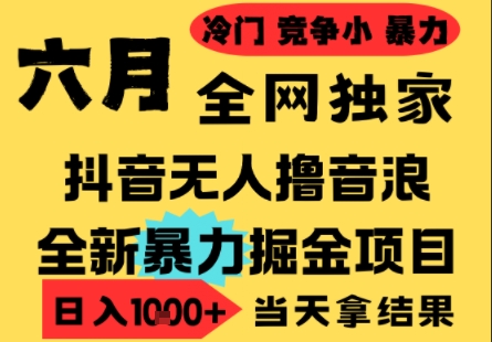 25年6月高爆抖音无人直播最新撸音浪掘金项目，小白可做，无脑日入1k+，门槛低可批量矩阵【揭秘】——生财有道创业项目网-生财有道