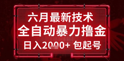 六月最新技术全自动暴力撸金，稳定日入2k+包起号，长期稳定【揭秘】——生财有道创业项目网-生财有道