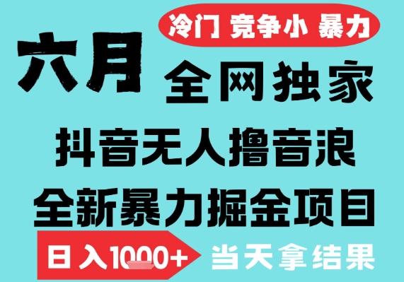 2025年6月高爆抖音无人直播最新撸音浪掘金项目，无脑日入1k+，低门槛小白可做，可矩阵放大【揭秘】——生财有道创业项目网-生财有道