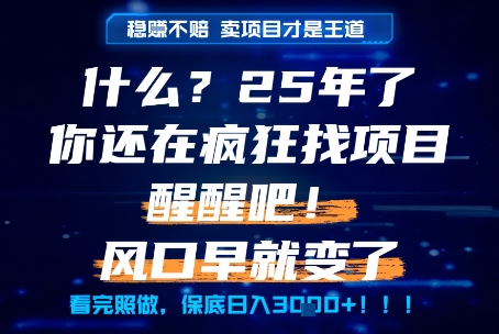 什么？25年你还在疯狂找项目做，醒醒吧，看完这些你全都懂了！【揭秘】——生财有道创业项目网-生财有道