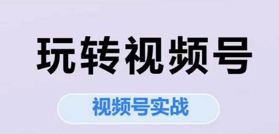 玩转视频号，视频号实战系列课——生财有道创业项目网-生财有道