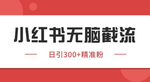 小红书截流同行客源，独家野路子获客玩法 日引200+暴力获客【揭秘】——生财有道创业项目网-生财有道